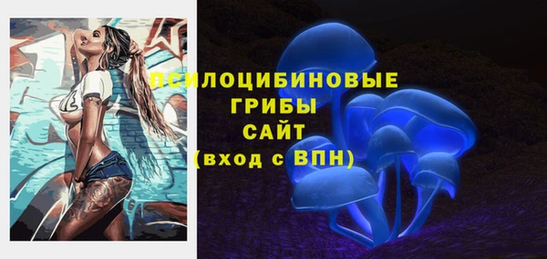 spice Гусиноозёрск