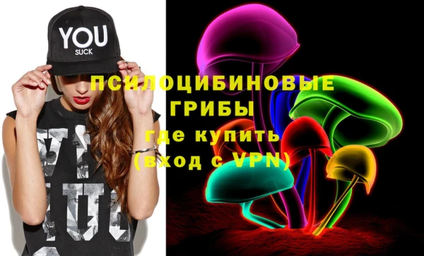 МДМА Горнозаводск