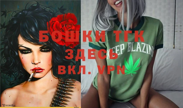 spice Гусиноозёрск